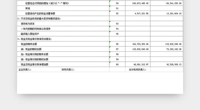 会计财务现金流量表模板