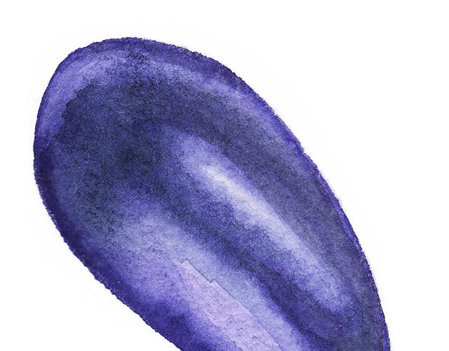手绘茄子