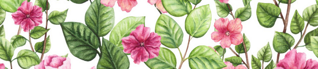 手绘水彩四方花卉花环素材