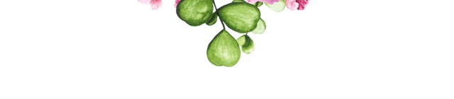 手绘水彩爱心花卉素材