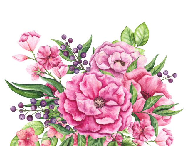 手绘水彩花卉素材