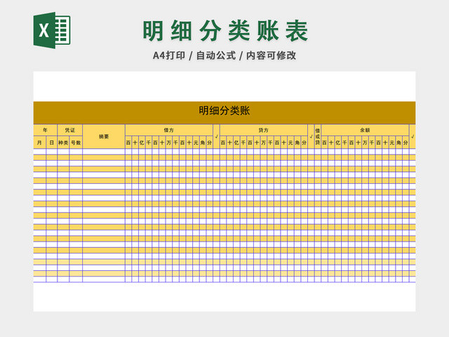 明细分类账表