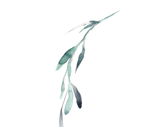 水彩水墨植物叶子素材