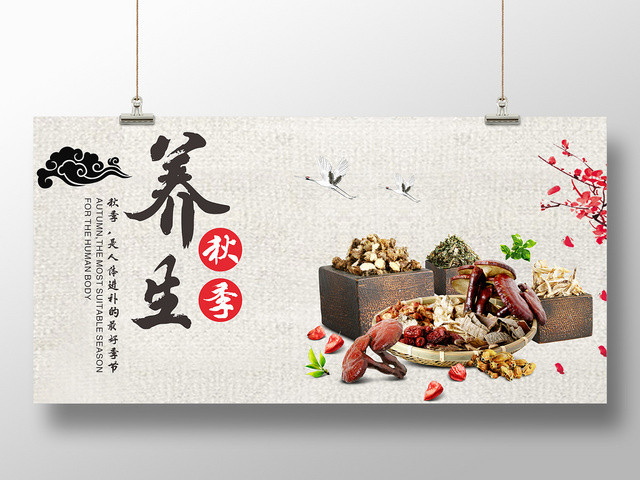秋季养生中国风简约中药浅色平面设计展板