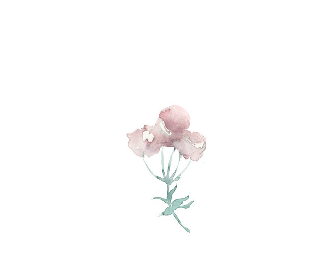 水彩水墨植物素材