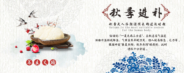 秋季进补中国风蓝色平面设计展板