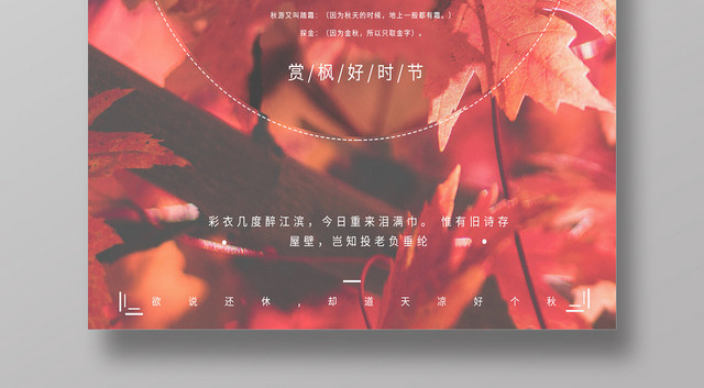 红色意境秋游赏枫好时节秋季海报