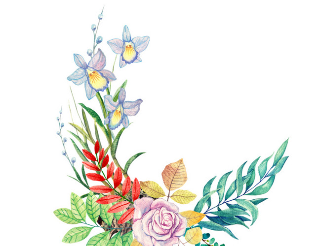 手绘水彩花卉素材