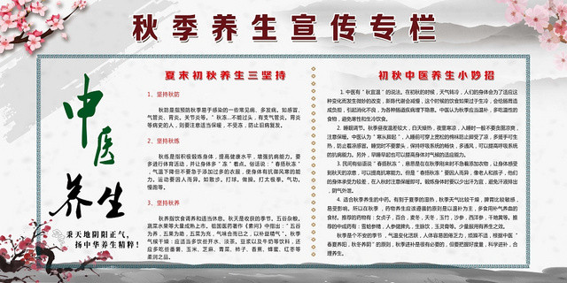白色水墨风中医养生秋季养生秋天展板