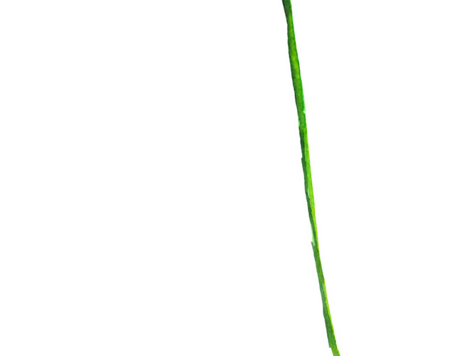 手绘唯美花朵素材