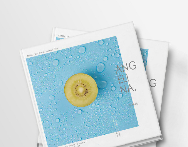清新自然淡蓝色配色产品画册整套设计模板