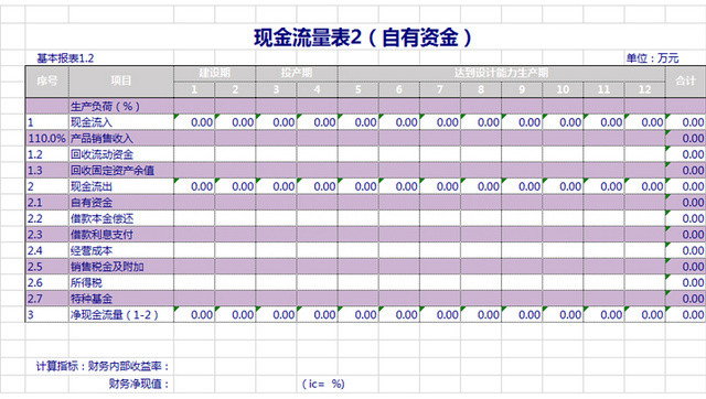 现金流量表表格模板