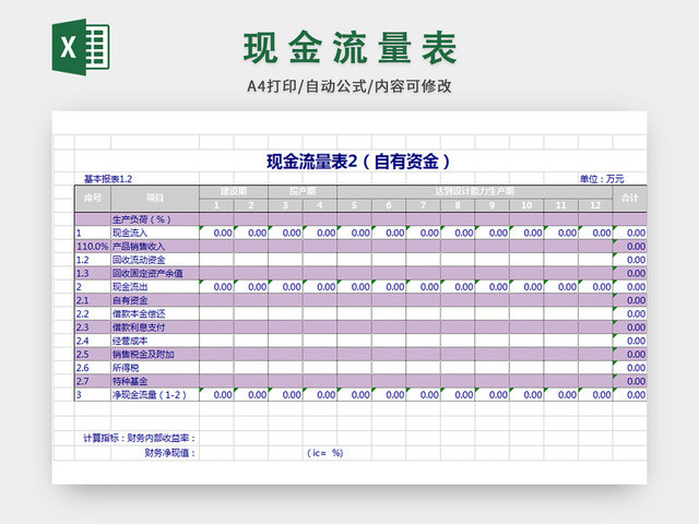 现金流量表表格模板