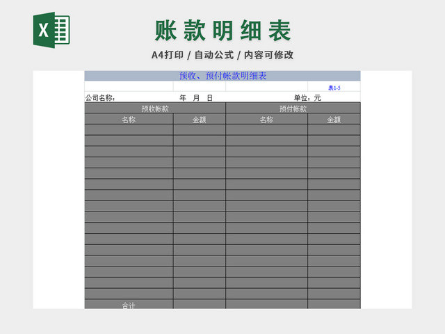 财务账款明细表