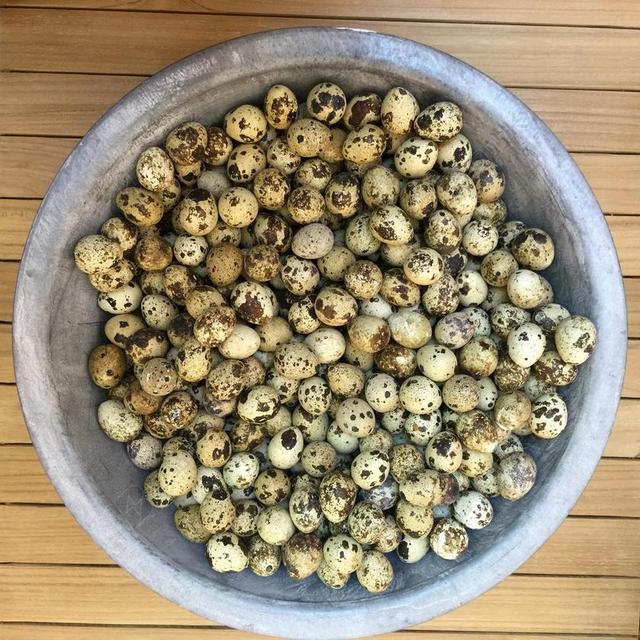 鹌鹑蛋 蛋 复活节 天然产物 静物 装饰 复活节假期 木