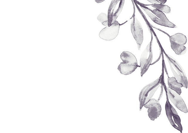 手绘叶子树枝水彩