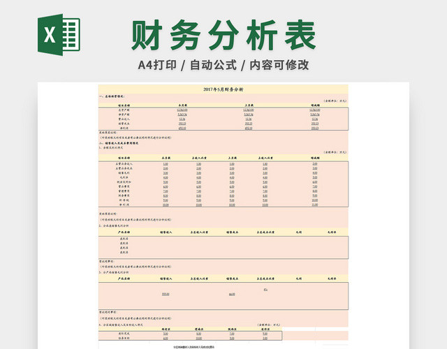 财务分析报表