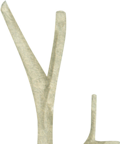 树干树枝手绘