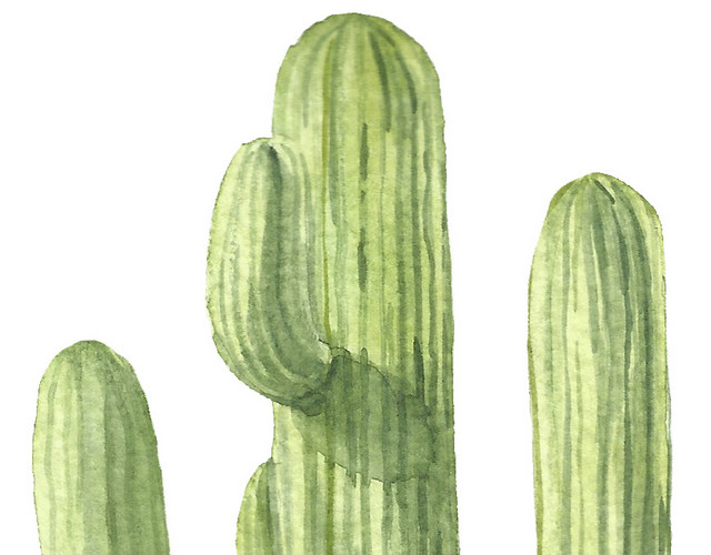 仙人掌绿色植物手绘