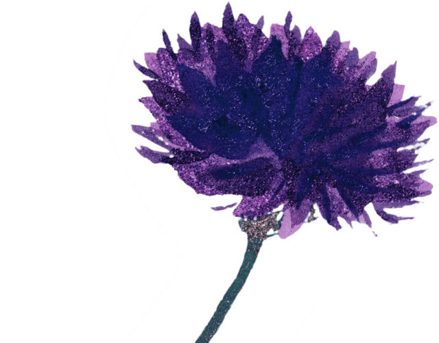 紫色花朵花瓣素材