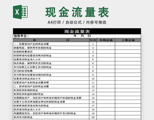 现金流量表收支明细表