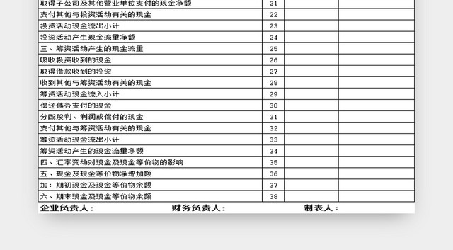 现金流量表收支明细表