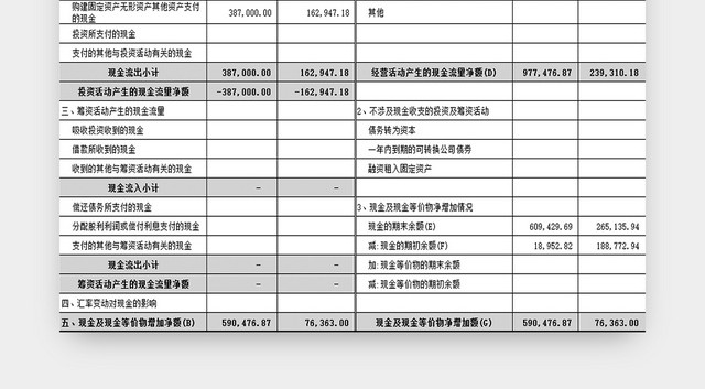 现金流量明细表财务数据统计表