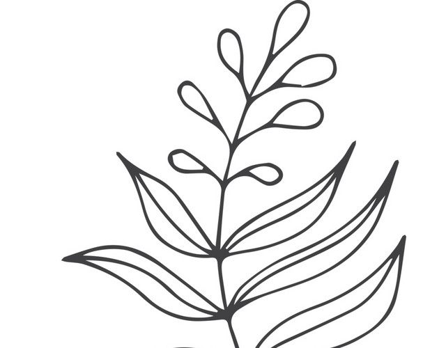 简笔画素材树叶树枝
