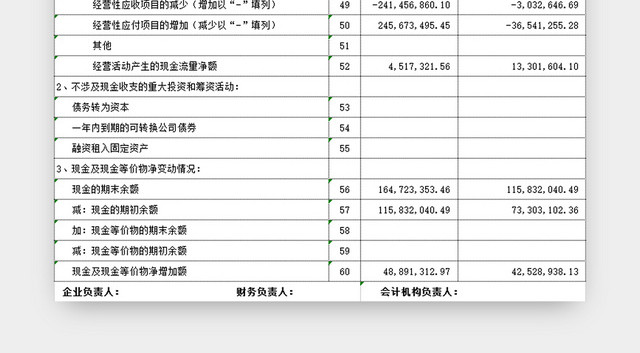 财务收支明细表现金流量表