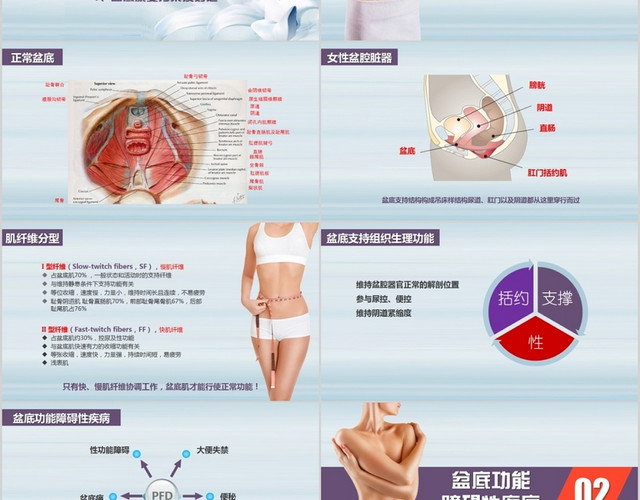 简约风母婴系列产后盆底康复培训课件PPT模板