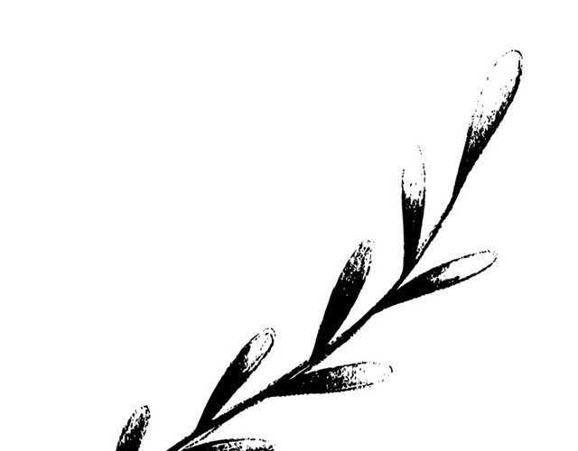 卡通树叶装饰手绘文艺小清新