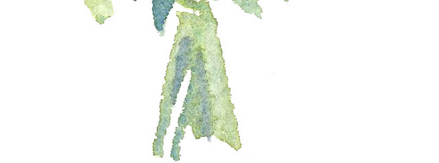 水彩手绘花