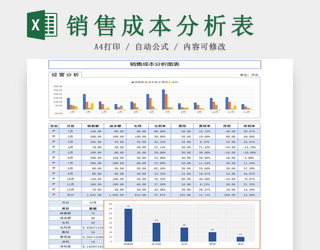 企业公司销售成本分析EXCEL表