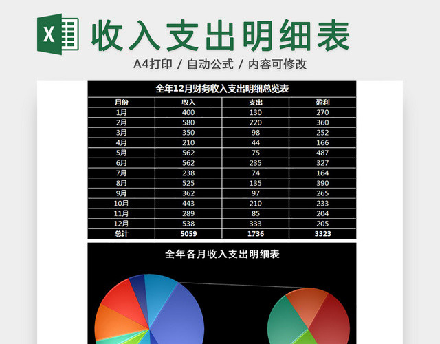 收入支出明细表