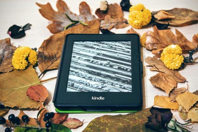 数码落叶中黑色的KINDLE背景图片