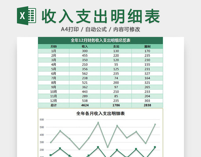 收入支出明细表