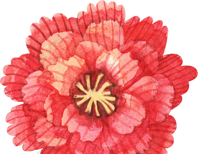 一朵花免抠素材