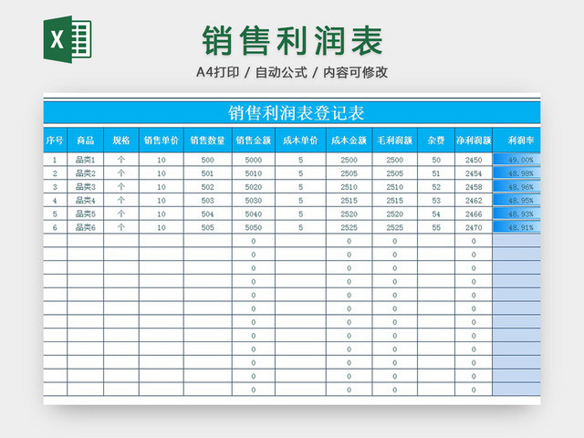 销售利润表