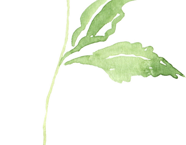 绿色小草油画矢量图片