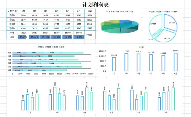 计划利润表