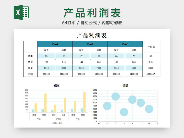 产品利润表