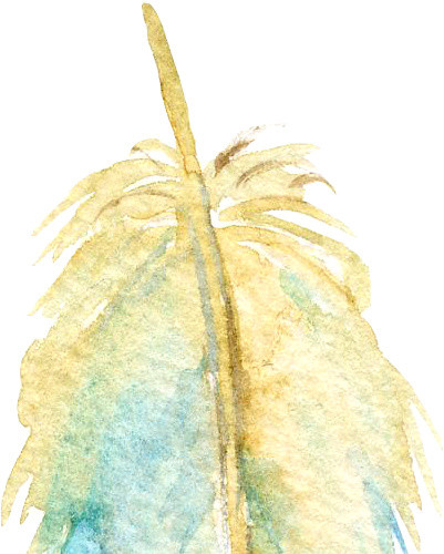 彩色羽毛插画矢量图片