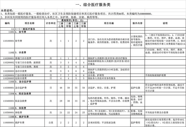 医疗服务收费标准EXCEL模板