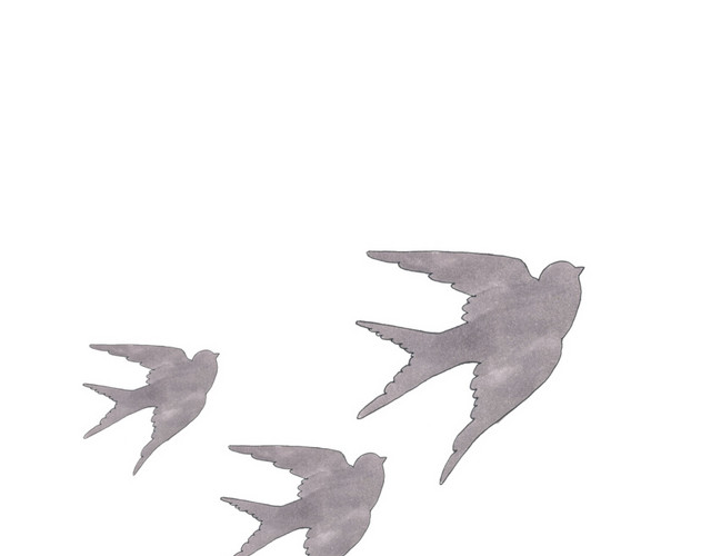 燕子