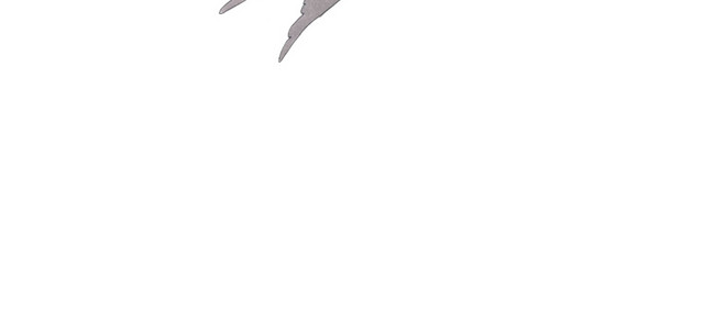 燕子