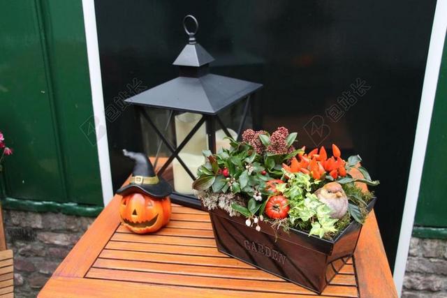 南瓜 万圣节 装饰 表 灯笼 光 颜色 橙色 花园 园艺