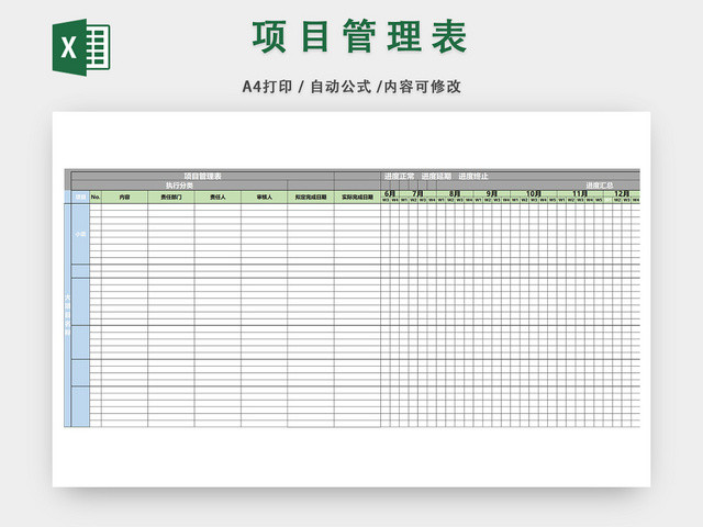 公司项目管理细则表