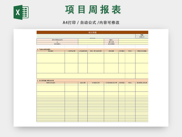 项目阶段规划详情表