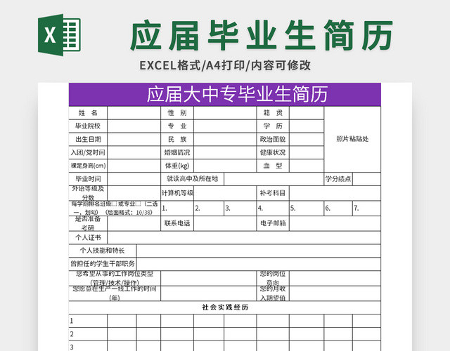 常用应届大中专毕业生简历EXCEL模板