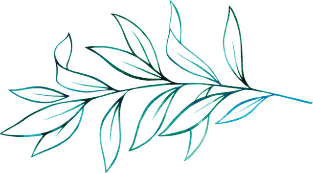 手绘树叶素材